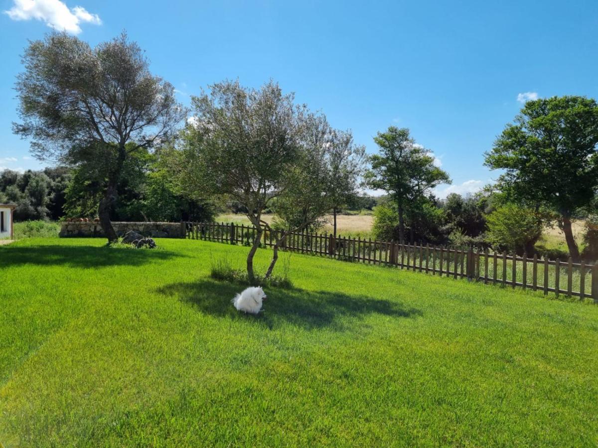 LU ANTU alloggi agrituristici Arzachena Esterno foto